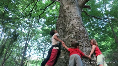 Navarra con niños: 13 planes para toda la familia